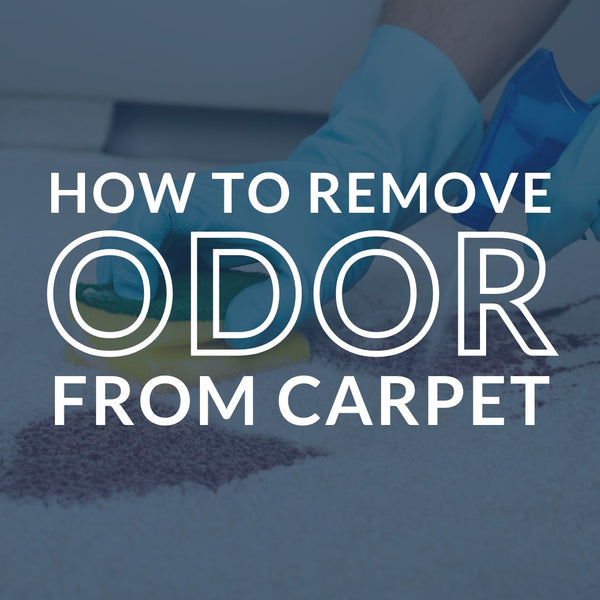 How To Remove Odor From Your Carpet