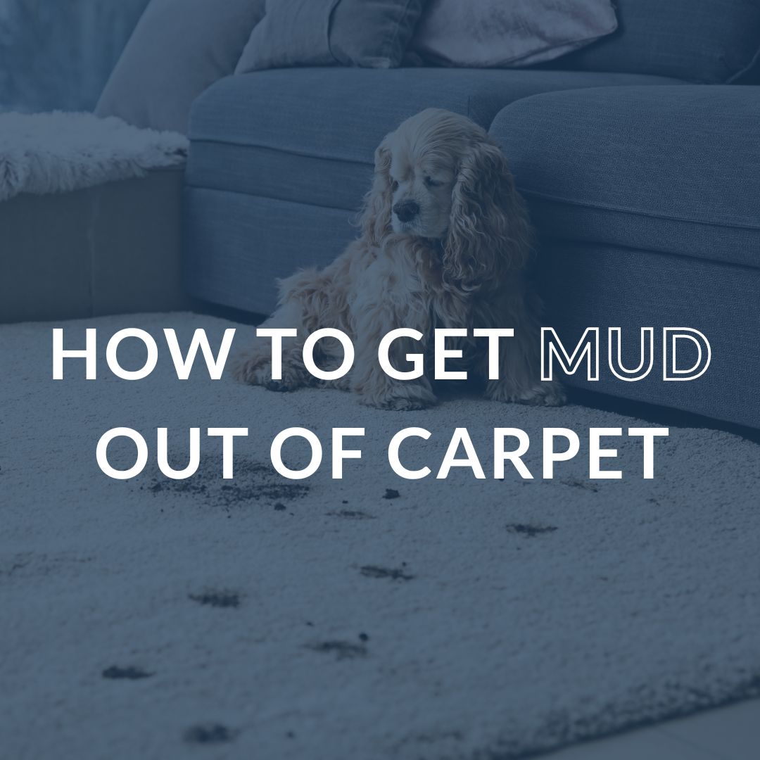 How To Remove A Mud Stain From Carpet: An Easy Step-By-Step Guide