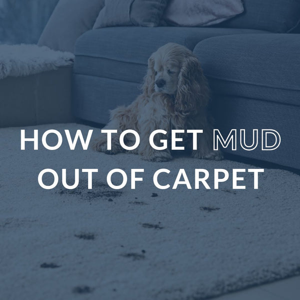 How To Remove A Mud Stain From Carpet: An Easy Step-By-Step Guide