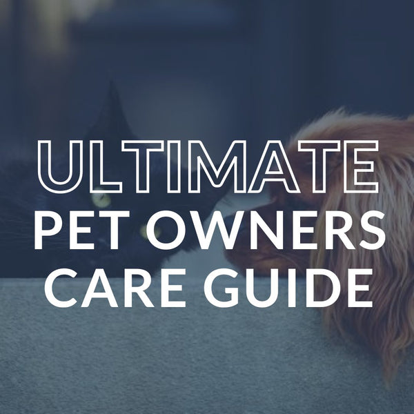 The Ultimate Pet Owner’s Carpet Cleaning Guide