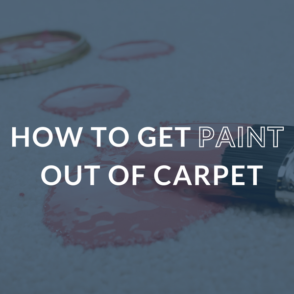 How to Get Paint Out of Carpet: 2 Step-by-Step Guides