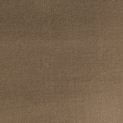 Brown Landing Carpet