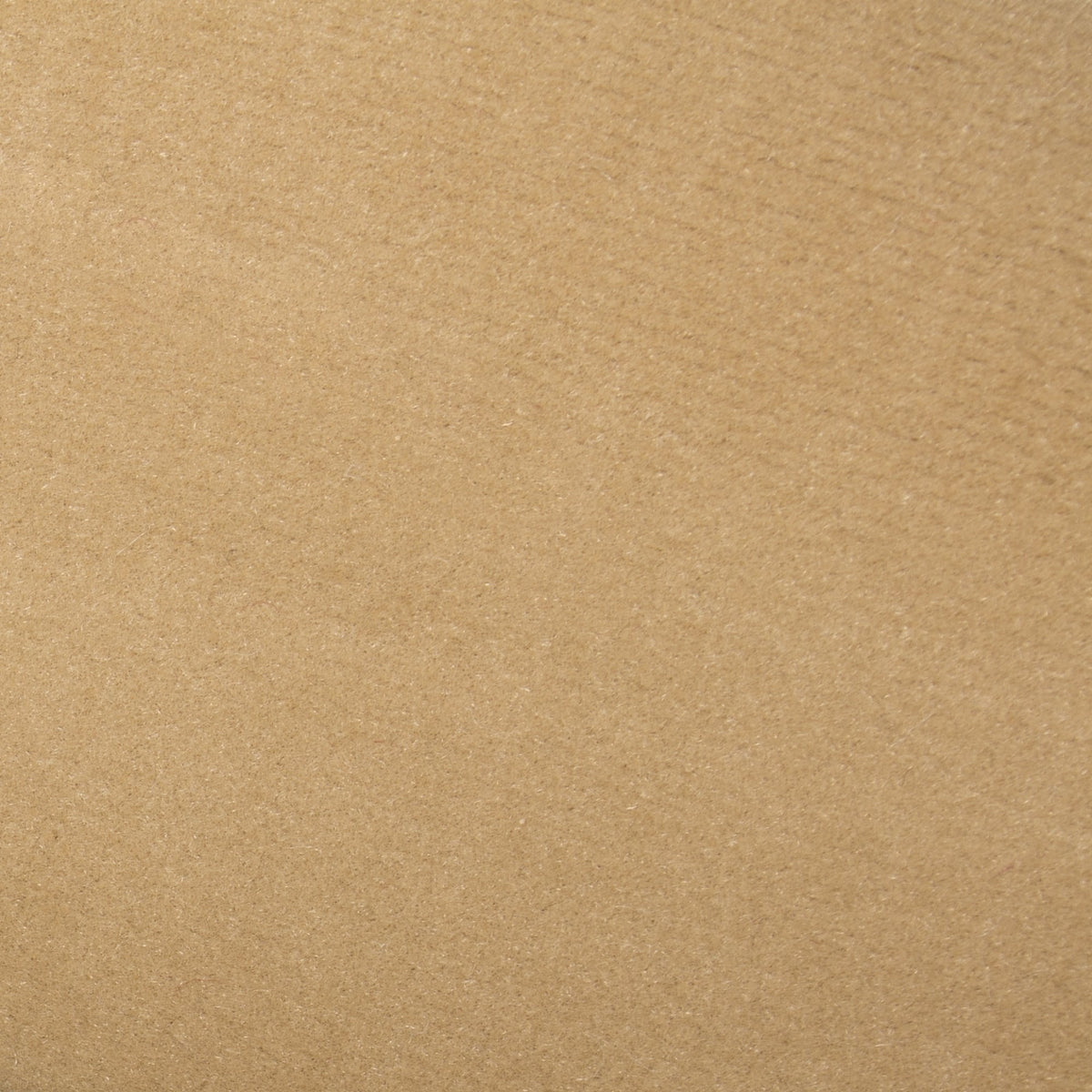 Plain Beige Landing Carpet