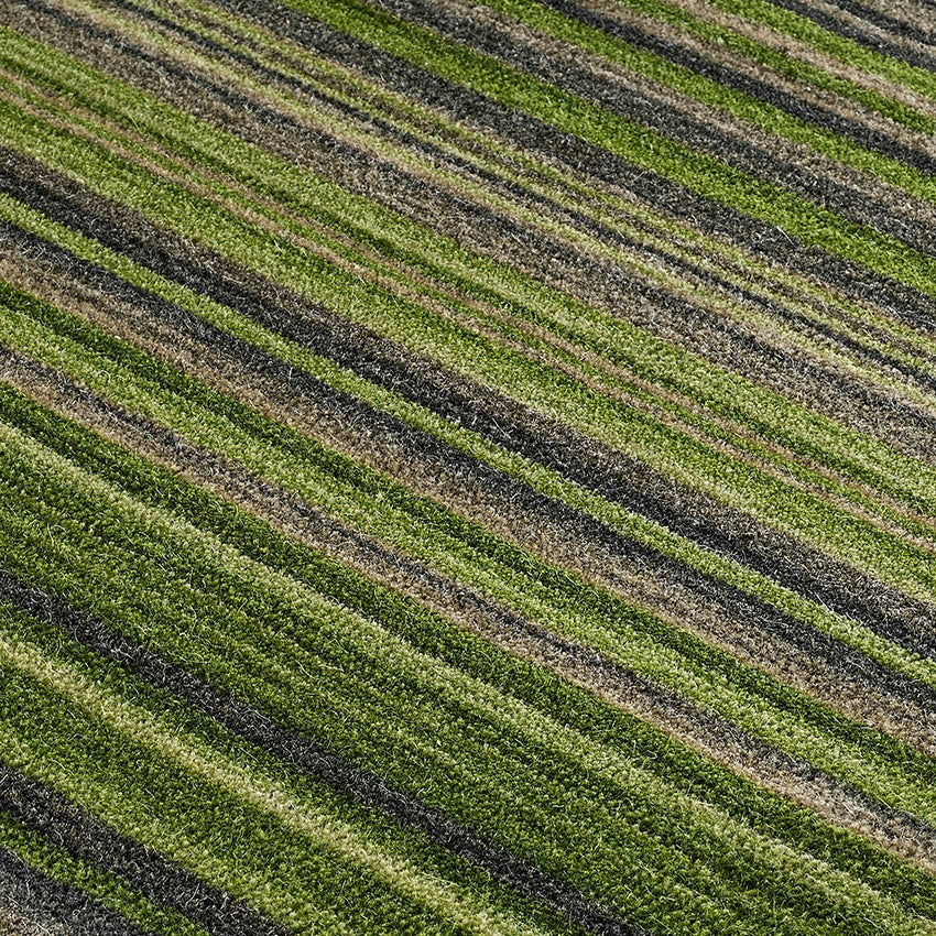 Carter Green Rug