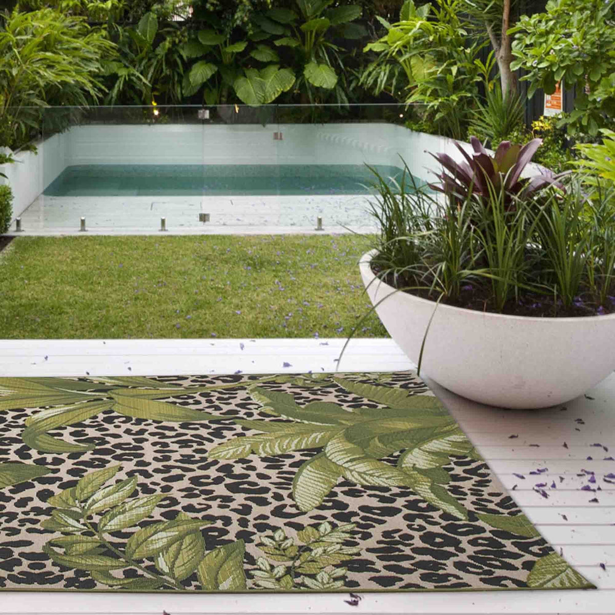 Tropicana 823 K Rug