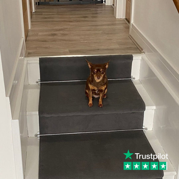 Jubilee Chrome Tringles D'Escalier