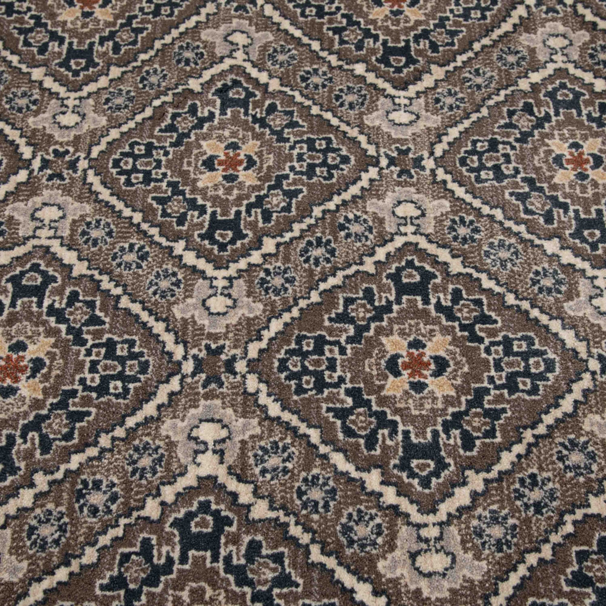 Montville Latte Sand Area Rug