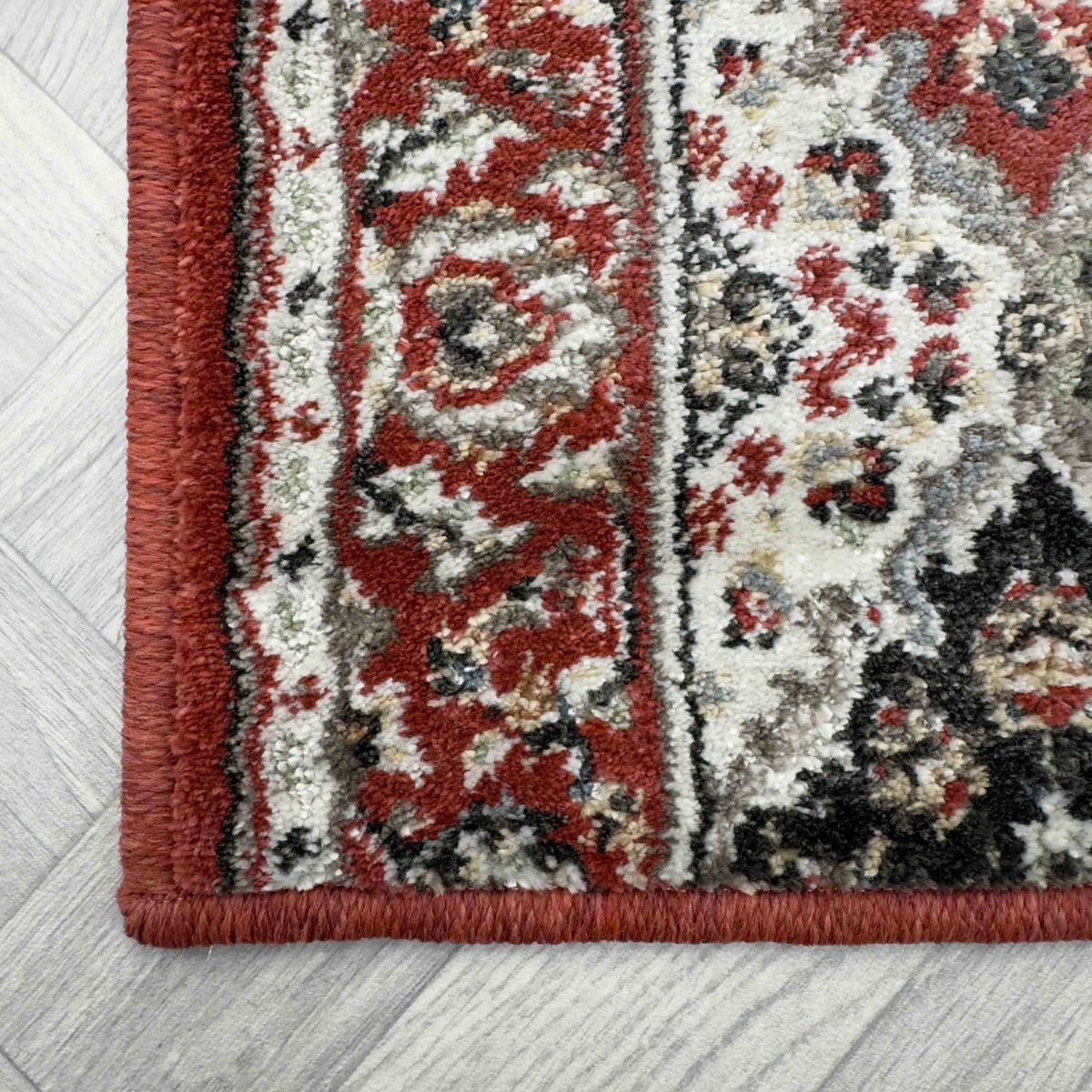 Lochlan Cinnabar/Multi Sample
