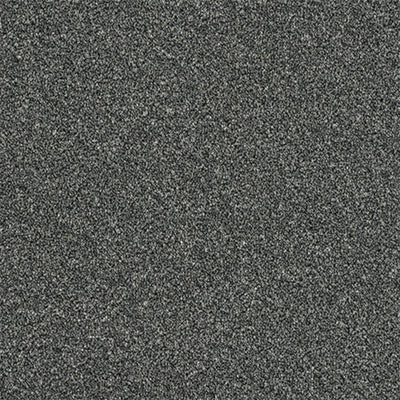 Rustique Ultra Ash Grove Carpet