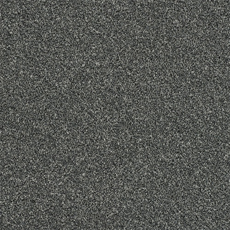 Rustique Ultra Ash Grove Carpet