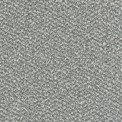 Tweed Mercury Carpet