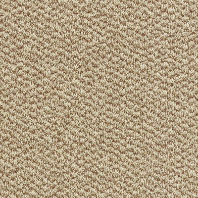 Tweed Taupe Carpet
