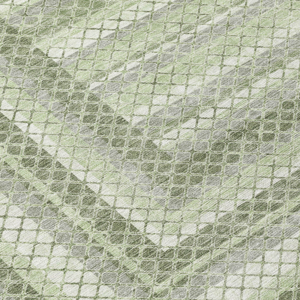 Chantille ACN2011-Aloe Indoor/Outdoor Washable Rug