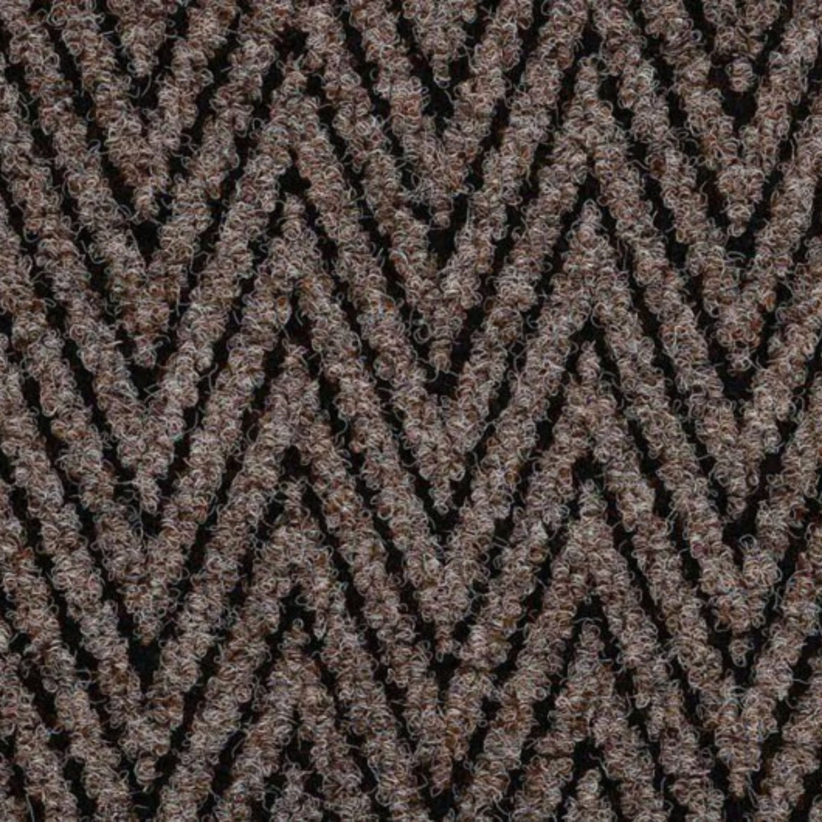 Jacob Chevron Beige Sample