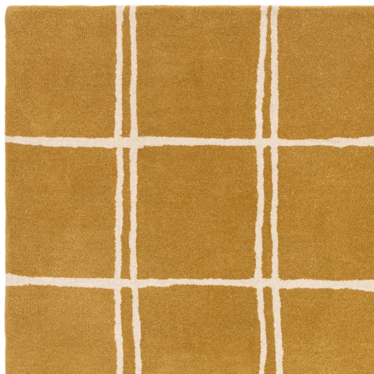 Albany Grid Gold Rug
