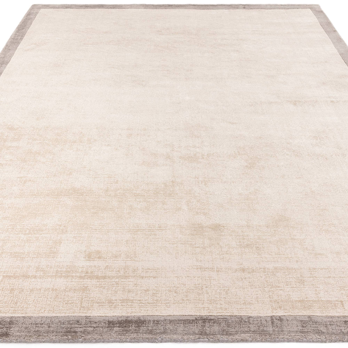 Blade Border Putty/Silver 07 Rug