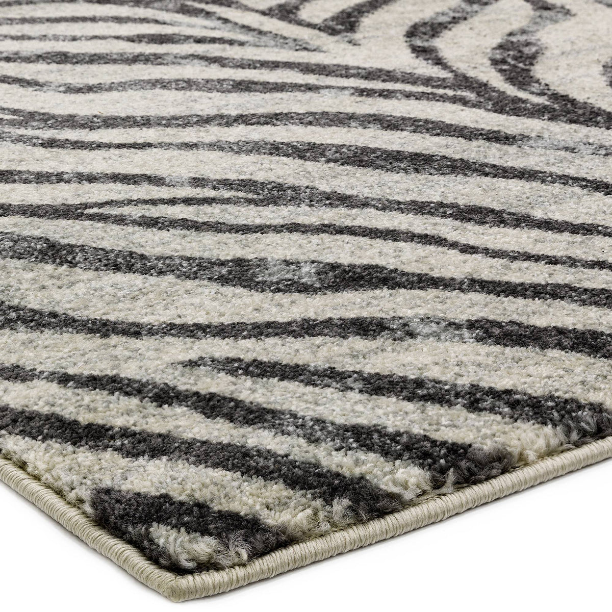 Nova NV27 Zebra Grey Rug