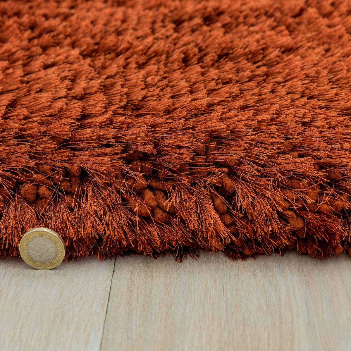 Plush Rust Rug